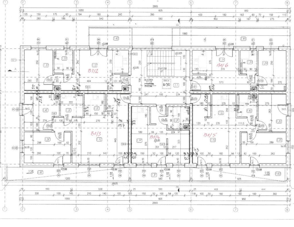 b1 rzut pietro b2 b6